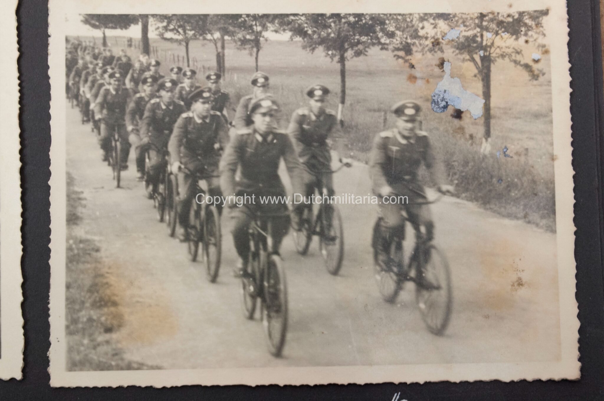 Photoalbum grouping 26 Infanterie Division with 282 photos — image 426