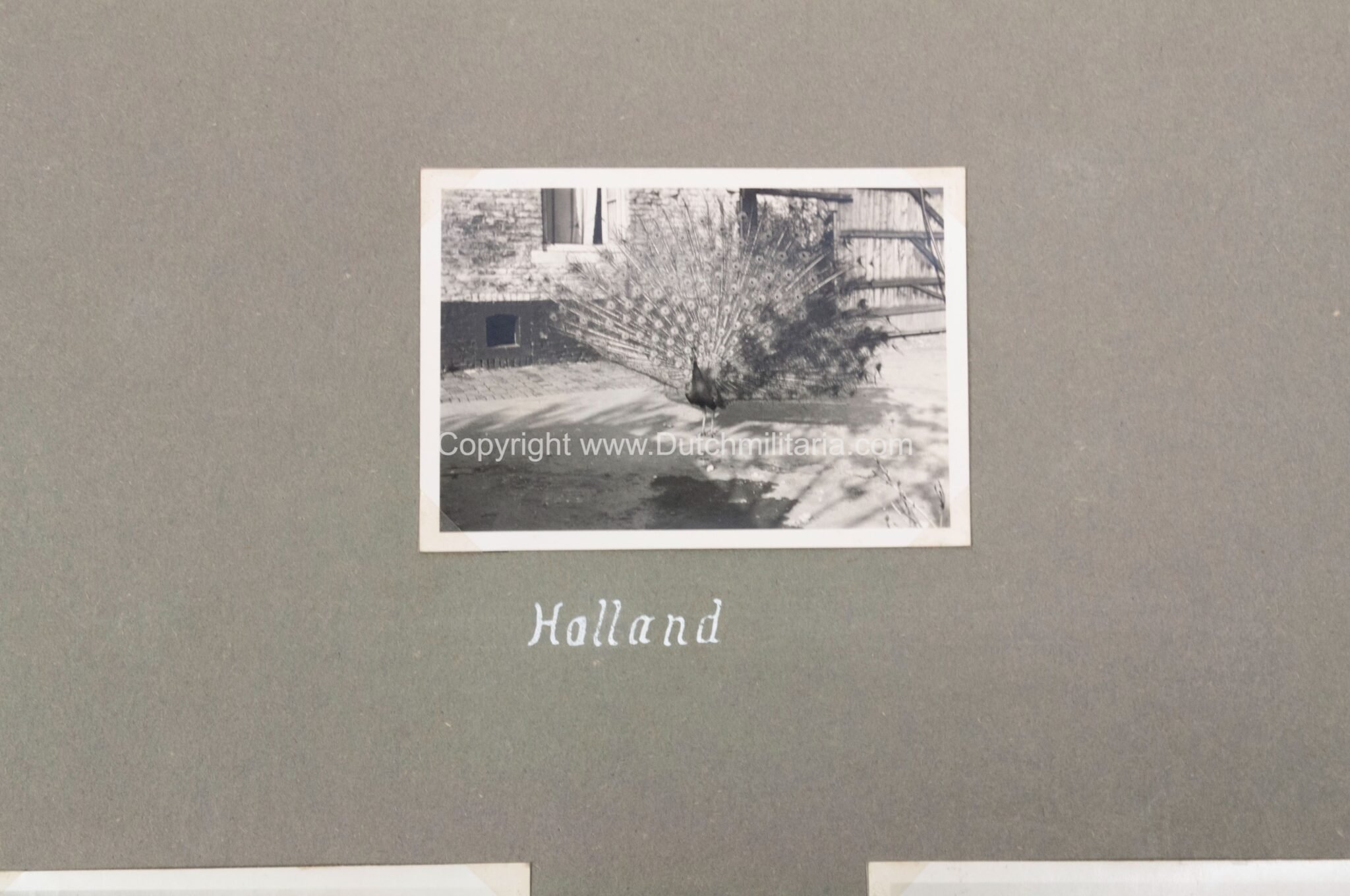 (Photoalbum) Der Feldzug im Westen 1940 – 18 Infanterie Division Nachrichtenzug (Holland, Belgium, Dunkirk, …) with 80 photo's) — image 7