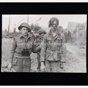 (Pressphoto) Iconic captured Normandy 12.SS-Panzer-Division 'Hitlerjugend' member photo (15,4 x …