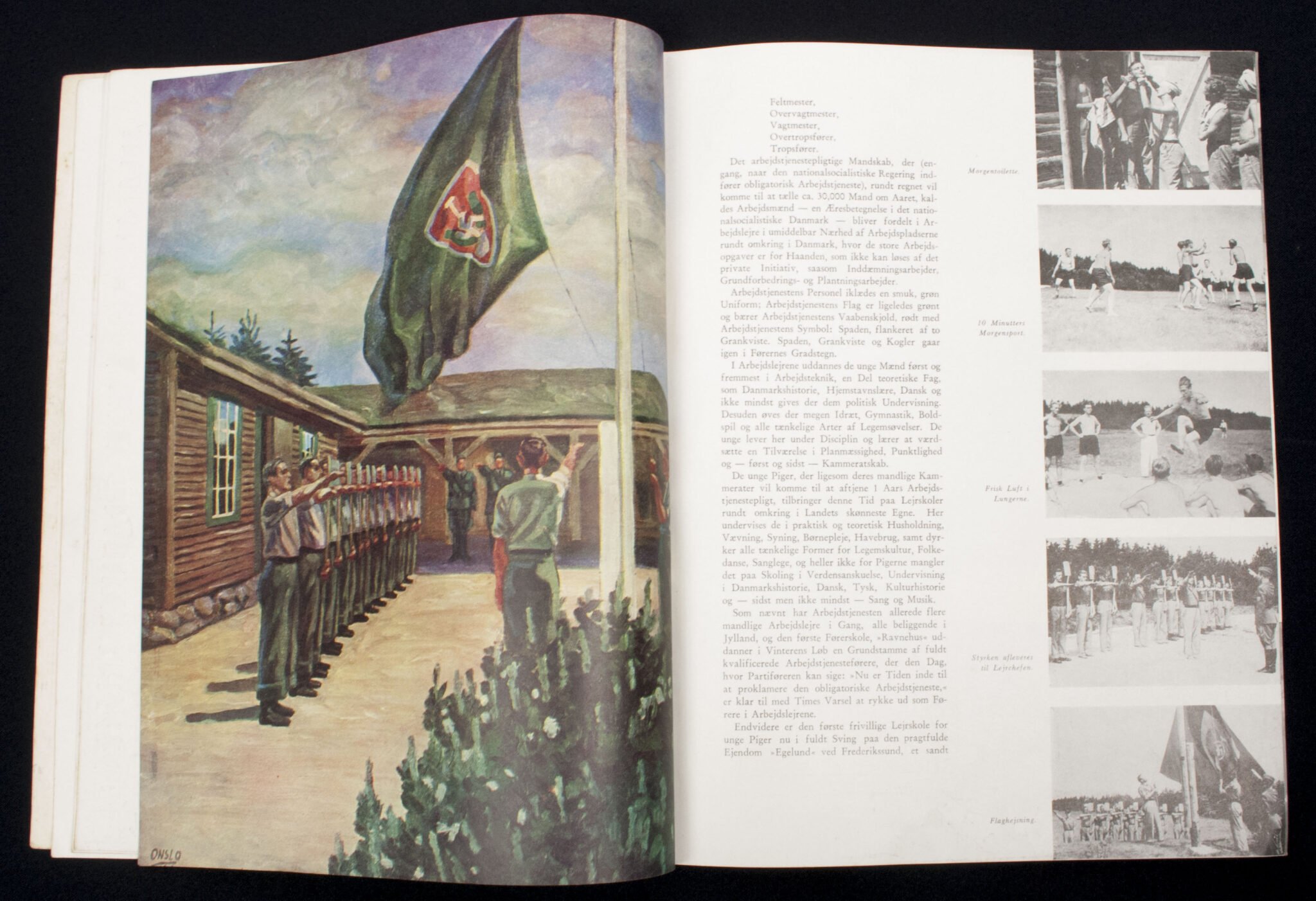 (Denmark) D.N.S.A.P. Magazine Jul I. Norden 1941 — image 8