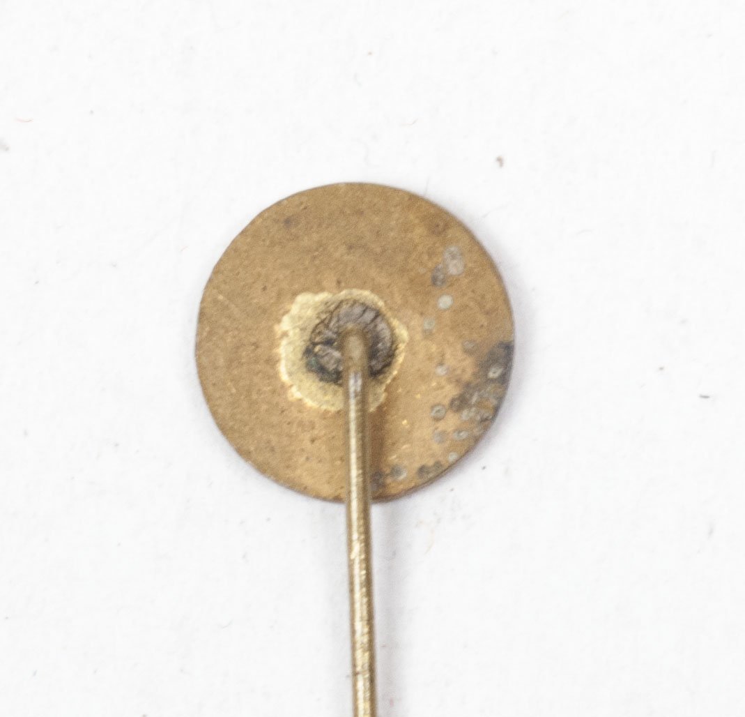 (Czech) NS Vlasti Zdar membership badge (lapel pin) — image 4