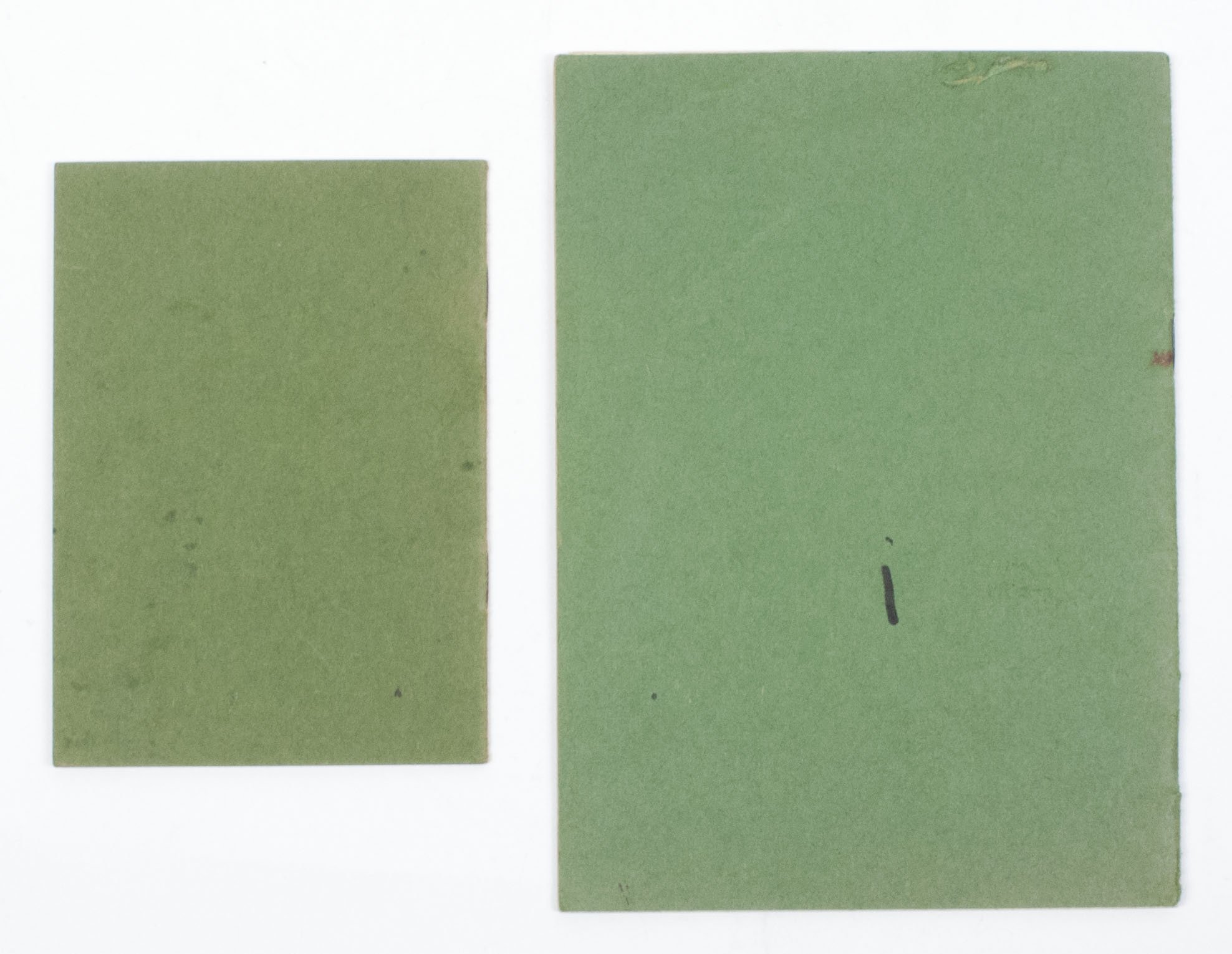 SA group with SA Leistungsbuch + Kameradschaftsbund Deutscher Polizeibeamten Mitgliedsbuch + Citations EK2, FEK, and more — image 10