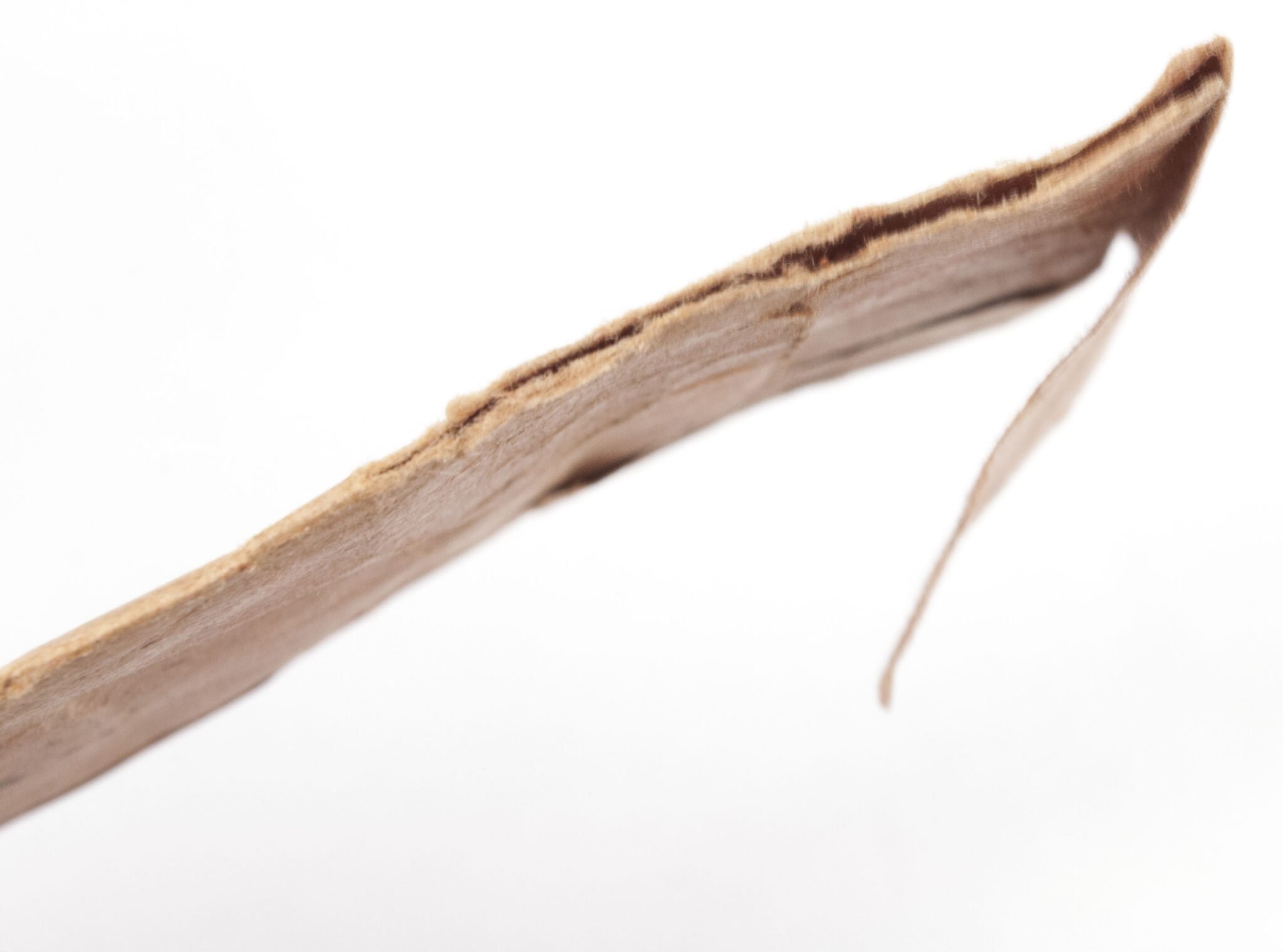 Kriegsverdienstkreuz 2. Klasse mit Schwertern / War Merit Cross second Class with swords enveloppe/bag — image 4