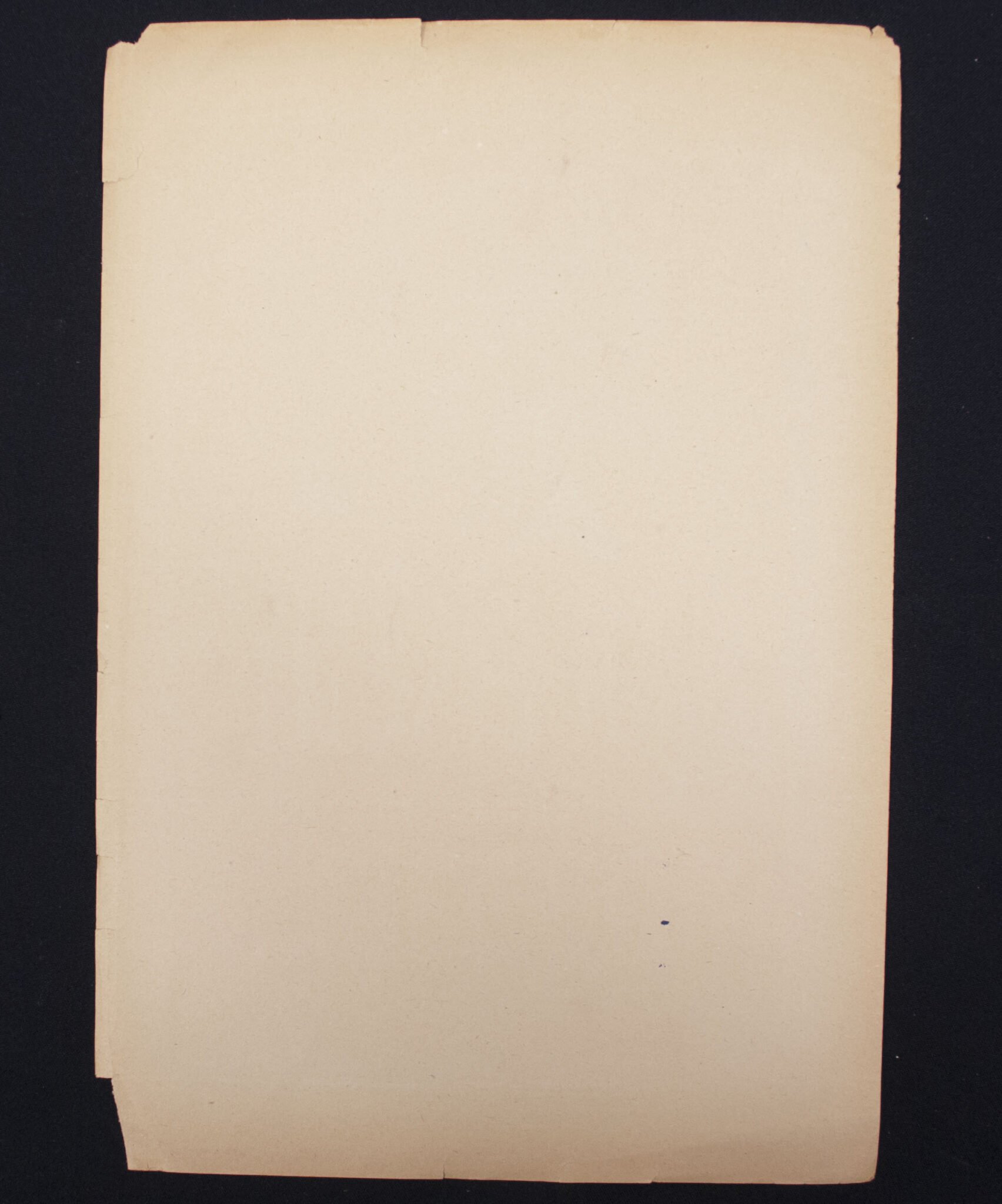 WWII German NSDAP Wochenspruch Es Gibt nur eine Sünde FEIGHEIT (1944) — image 2