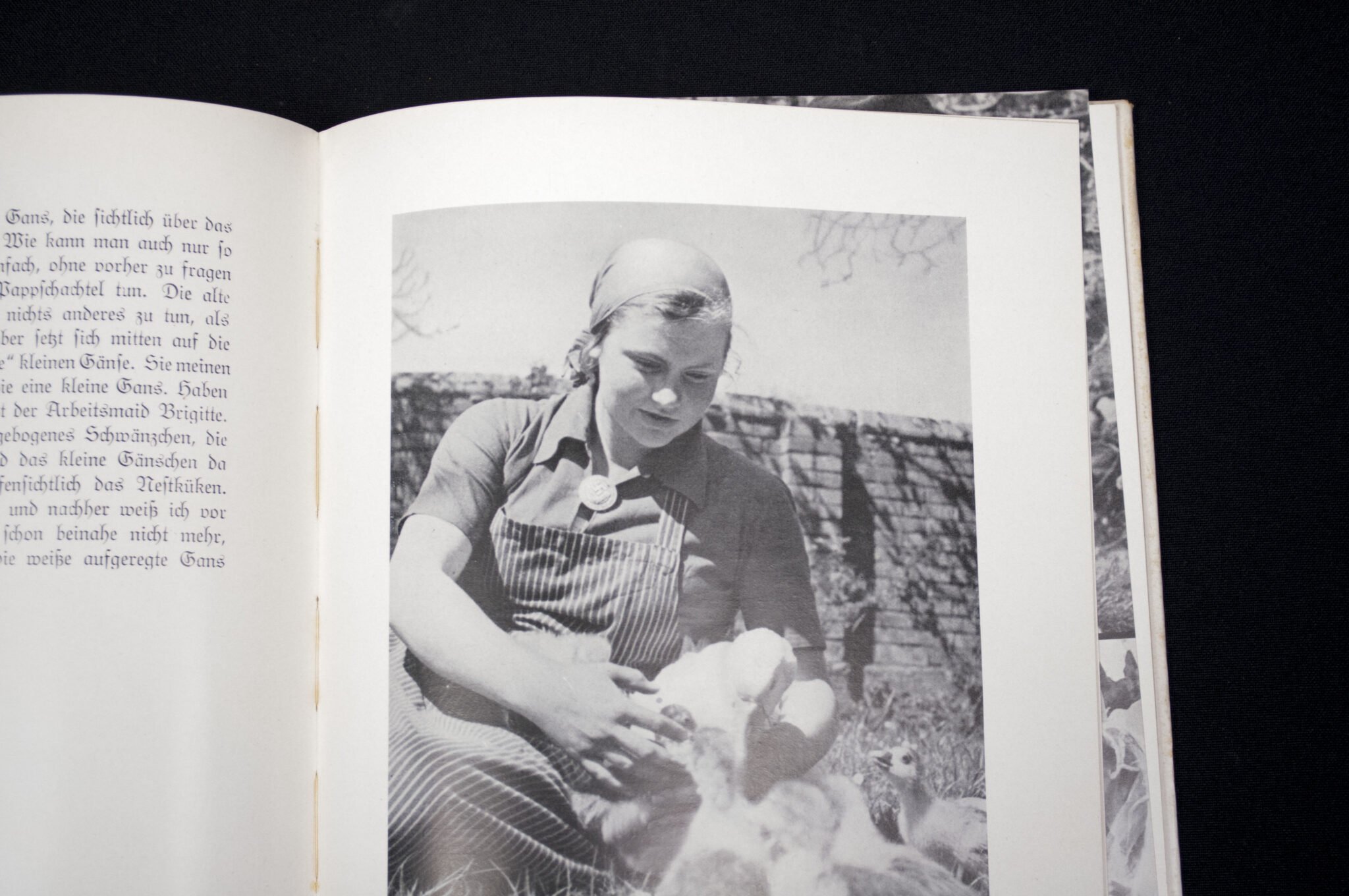 (Book) Reichsarbeitsdienst für die Weibliche Jugend – Dem Frölichen gehört die Welt (1938) — image 10