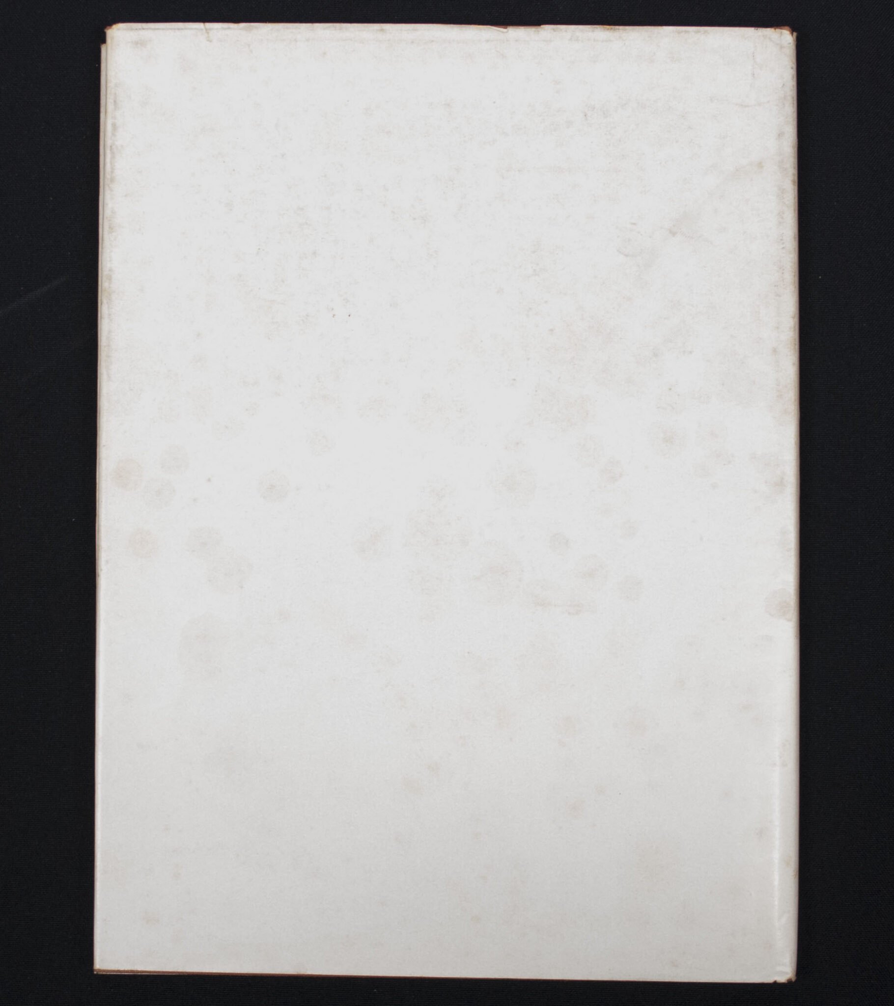 (Book) Reichsarbeitsdienst für die Weibliche Jugend – Dem Frölichen gehört die Welt (1938) — image 12