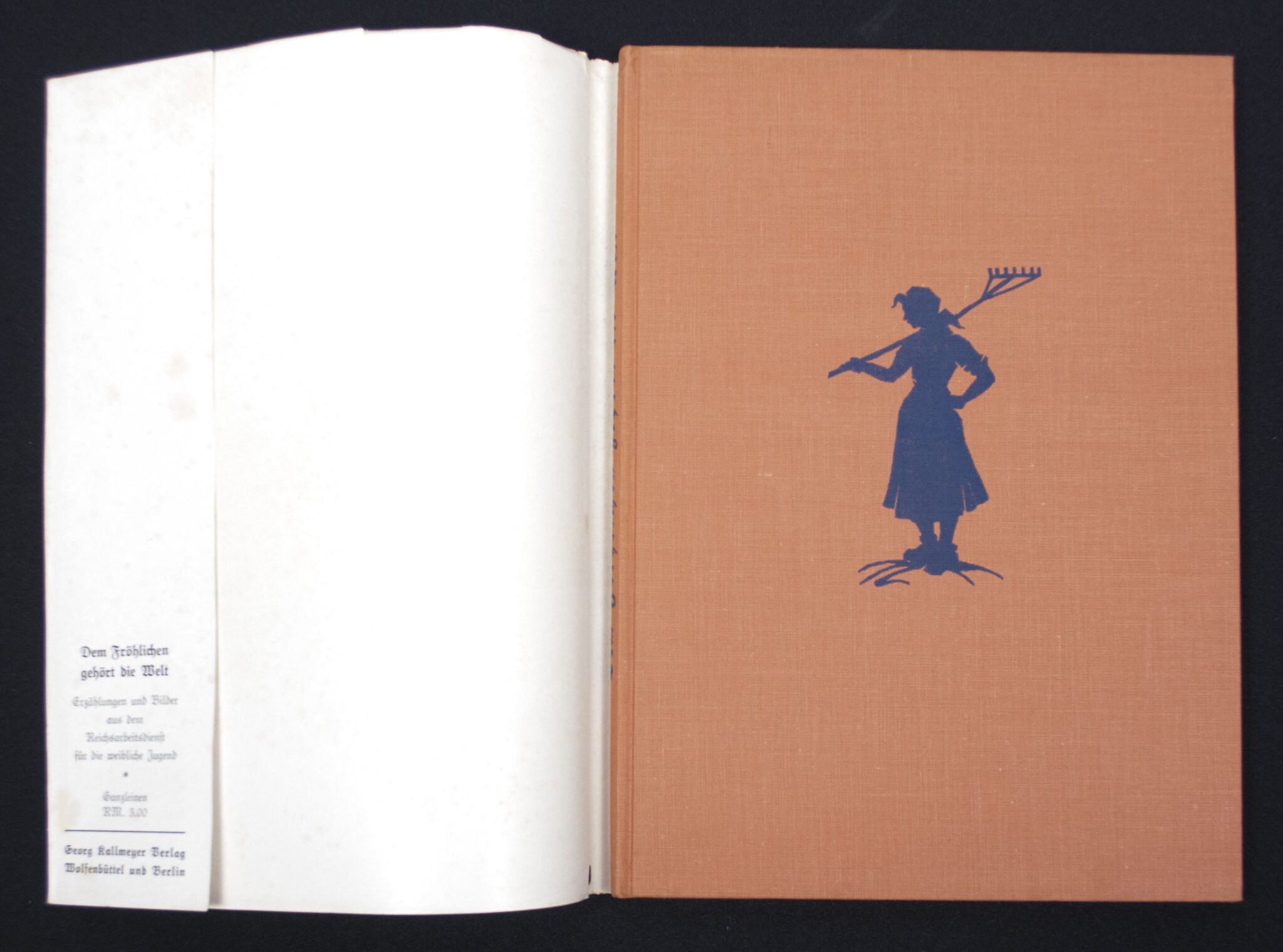 (Book) Reichsarbeitsdienst für die Weibliche Jugend – Dem Frölichen gehört die Welt (1938) — image 3