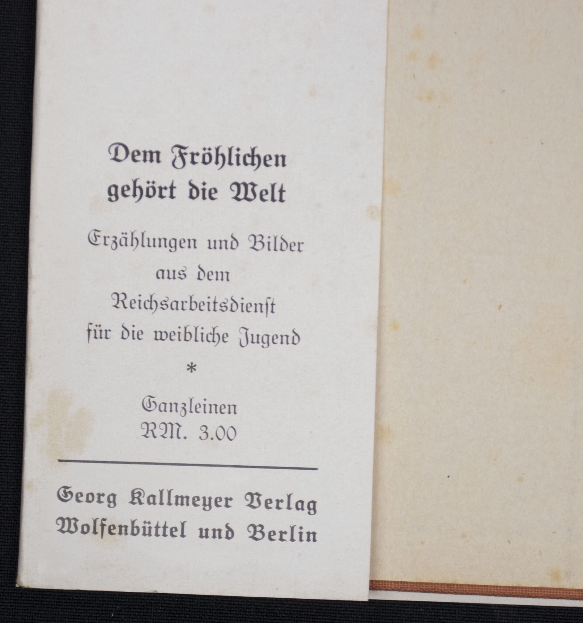 (Book) Reichsarbeitsdienst für die Weibliche Jugend – Dem Frölichen gehört die Welt (1938) — image 4