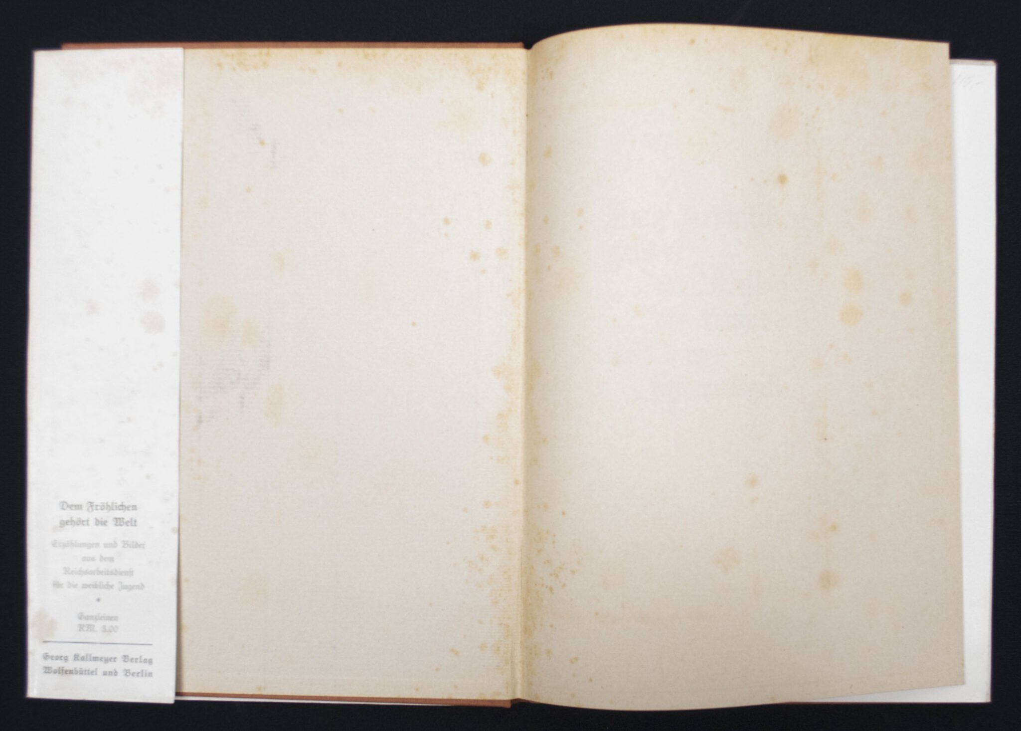 (Book) Reichsarbeitsdienst für die Weibliche Jugend – Dem Frölichen gehört die Welt (1938) — image 5