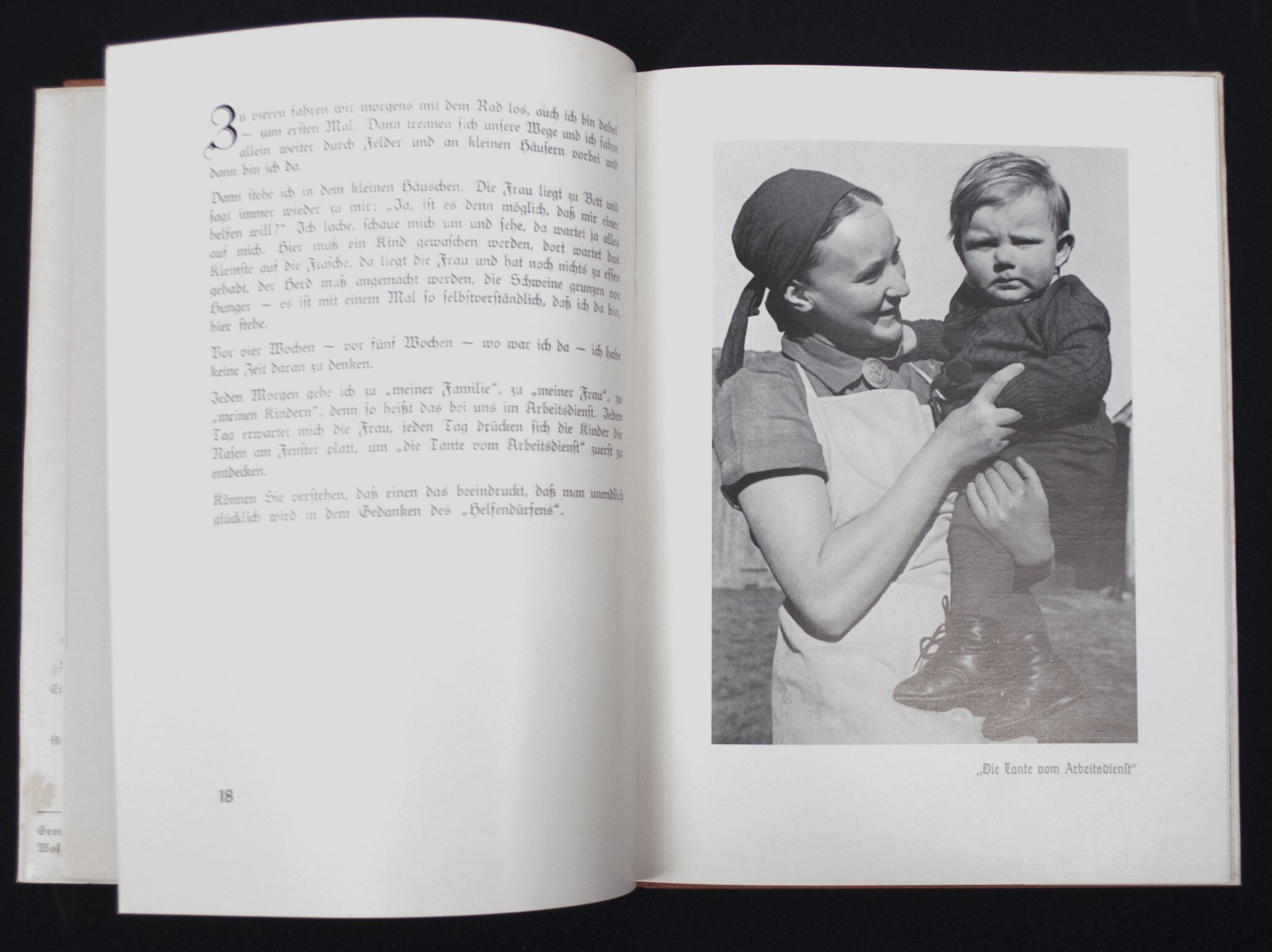 (Book) Reichsarbeitsdienst für die Weibliche Jugend – Dem Frölichen gehört die Welt (1938) — image 8