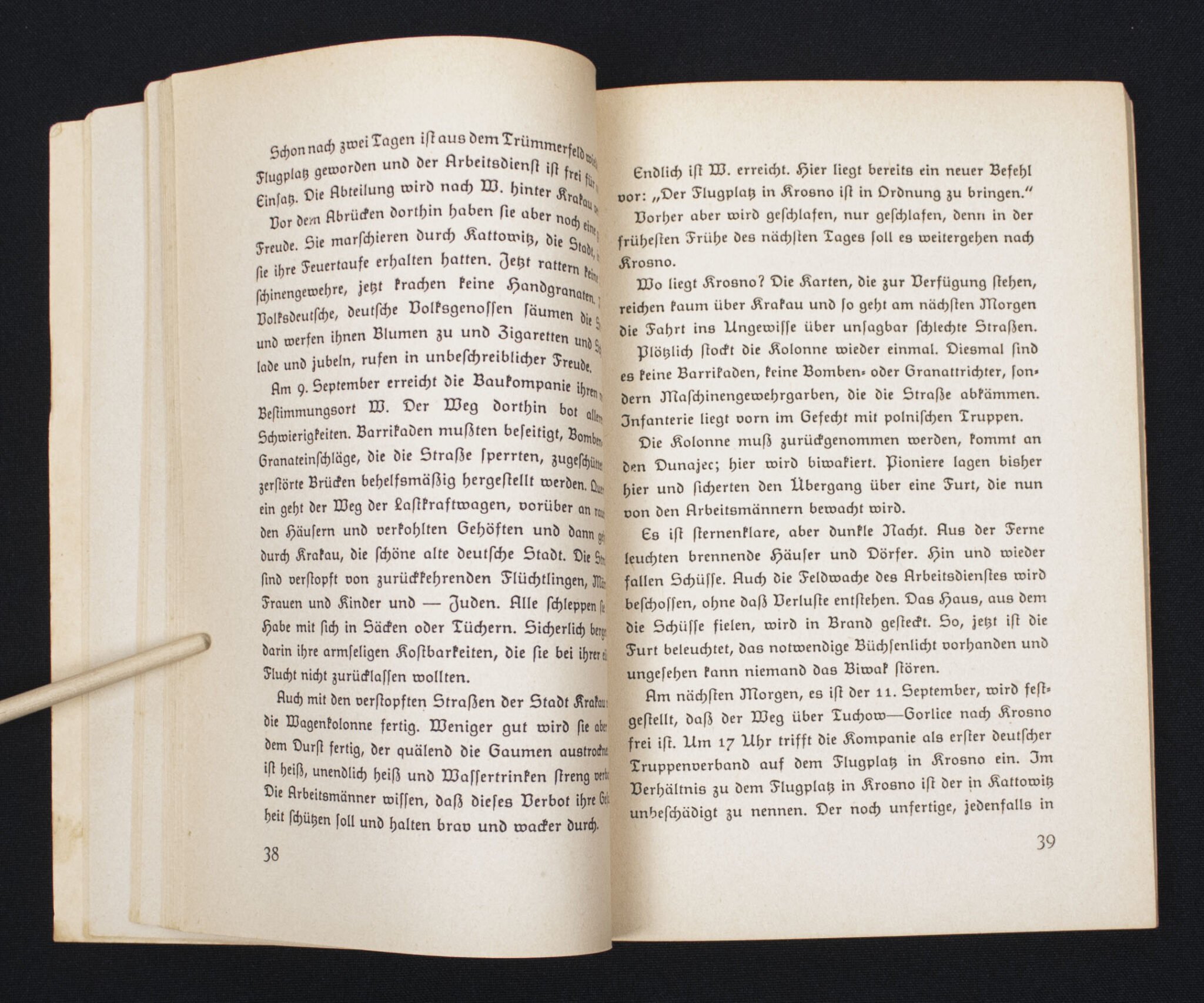 (Book) Der Reichsarbeitsdienst im Polnischen Feldzug – Mit dem Spaten durch Polen (1939) — image 5