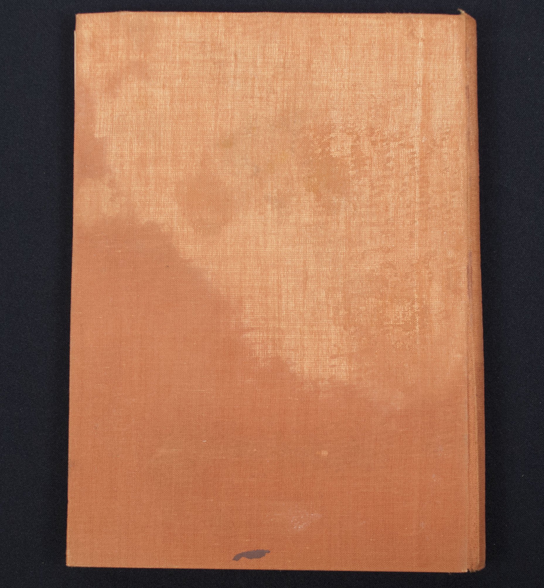 (Book) Grenzland Baden – Spaten zur Hand – Das Werden und Schaffen des Arbeitsgaues XXVII Baden (1938) — image 12