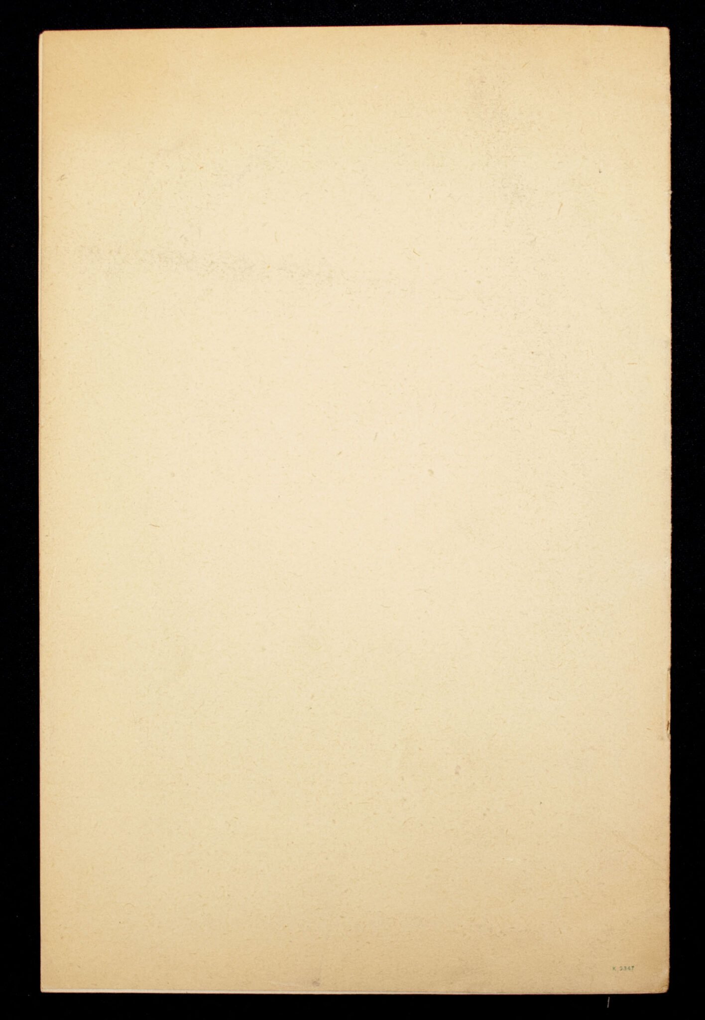 (NSB) Mussert – De Nationaal-Socialistische Beweging in Nederland en de Cultuur (1941) 2nd edition. — image 4