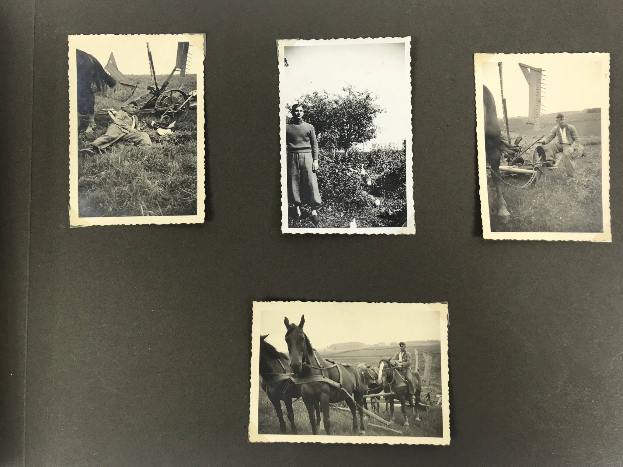 Photoalbum Reichsarbeitsdienst (RAD) with 226 photo's — image 14