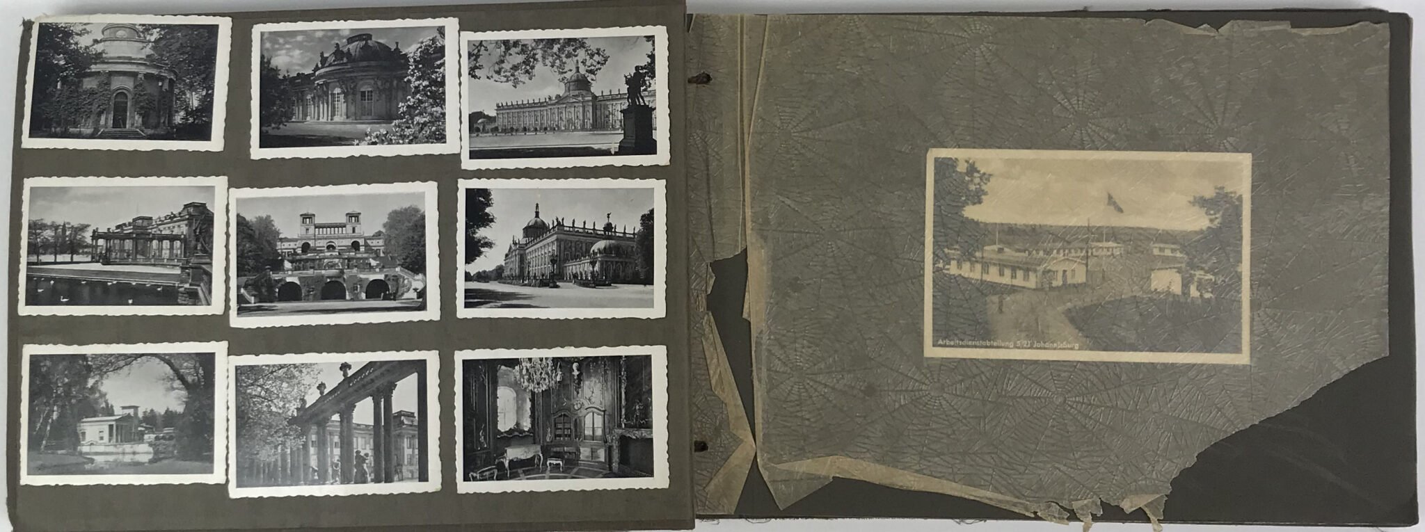 Photoalbum Reichsarbeitsdienst (RAD) with 226 photo's — image 2