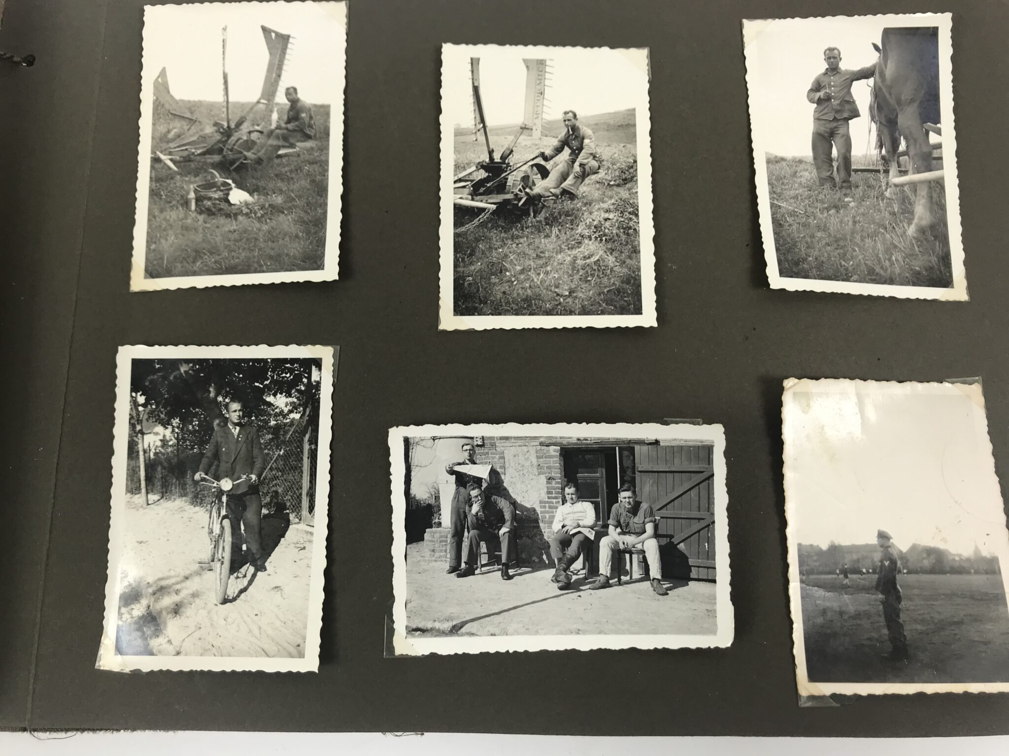 Photoalbum Reichsarbeitsdienst (RAD) with 226 photo's — image 22