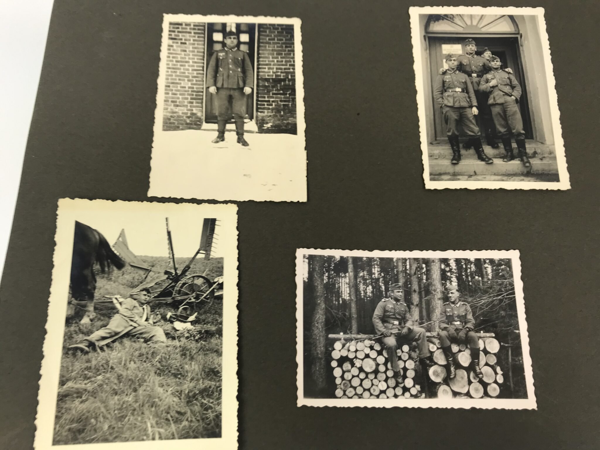 Photoalbum Reichsarbeitsdienst (RAD) with 226 photo's — image 25