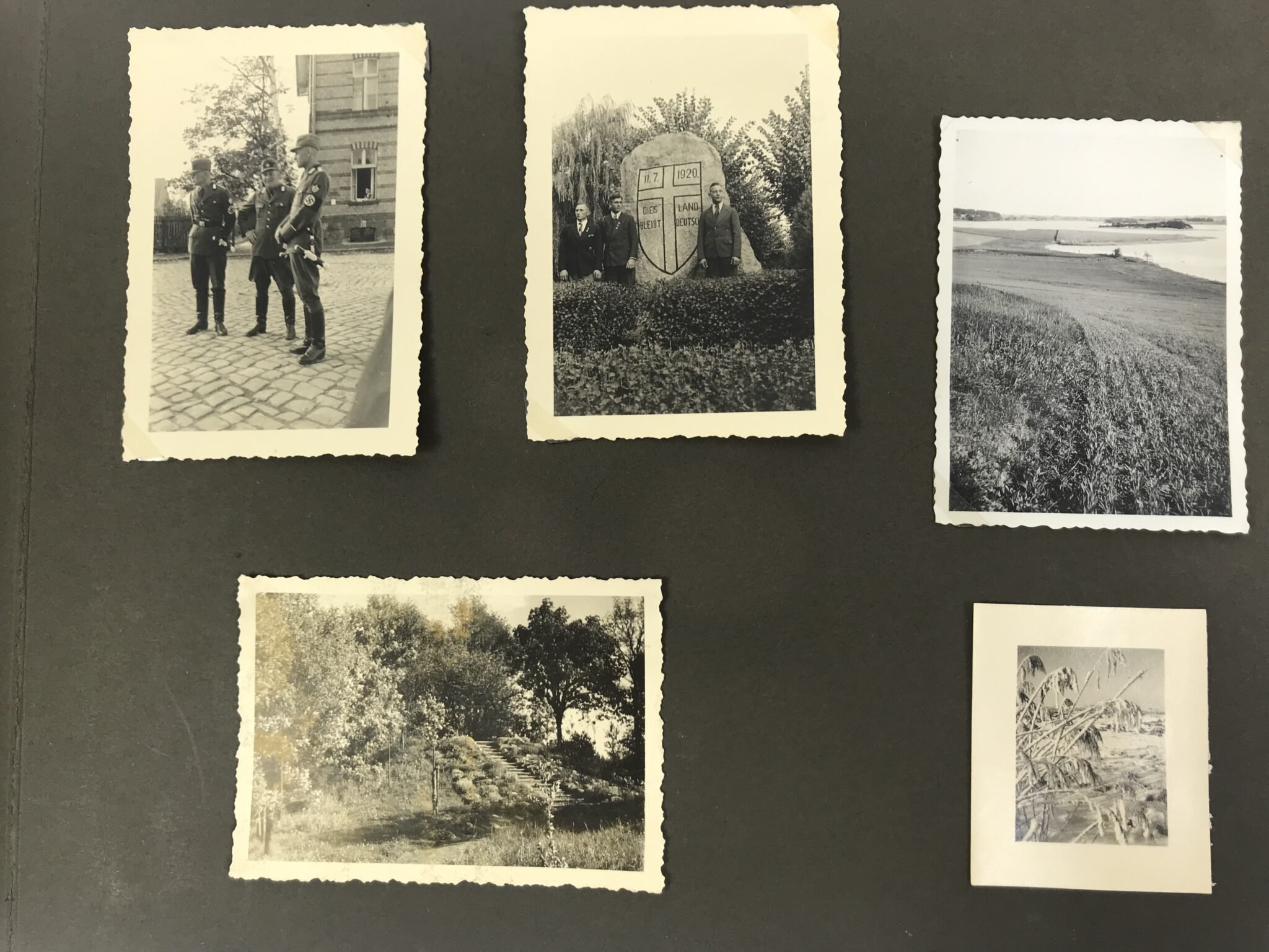 Photoalbum Reichsarbeitsdienst (RAD) with 226 photo's — image 26