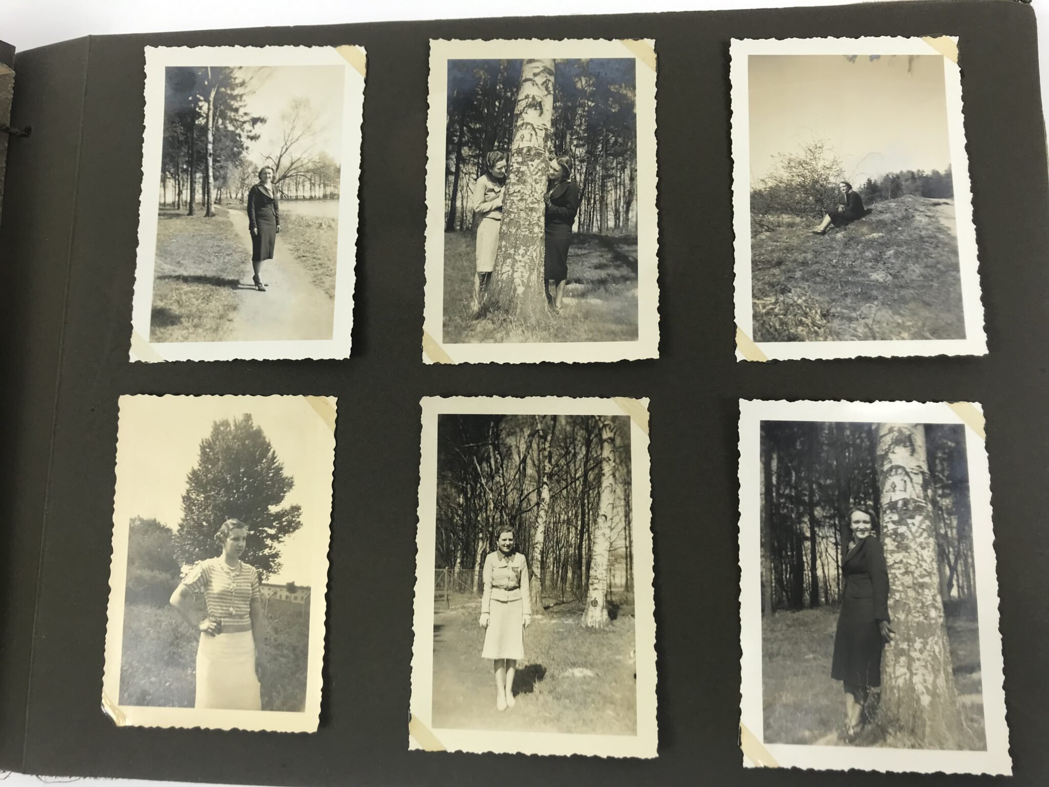 Photoalbum Reichsarbeitsdienst (RAD) with 226 photo's — image 35