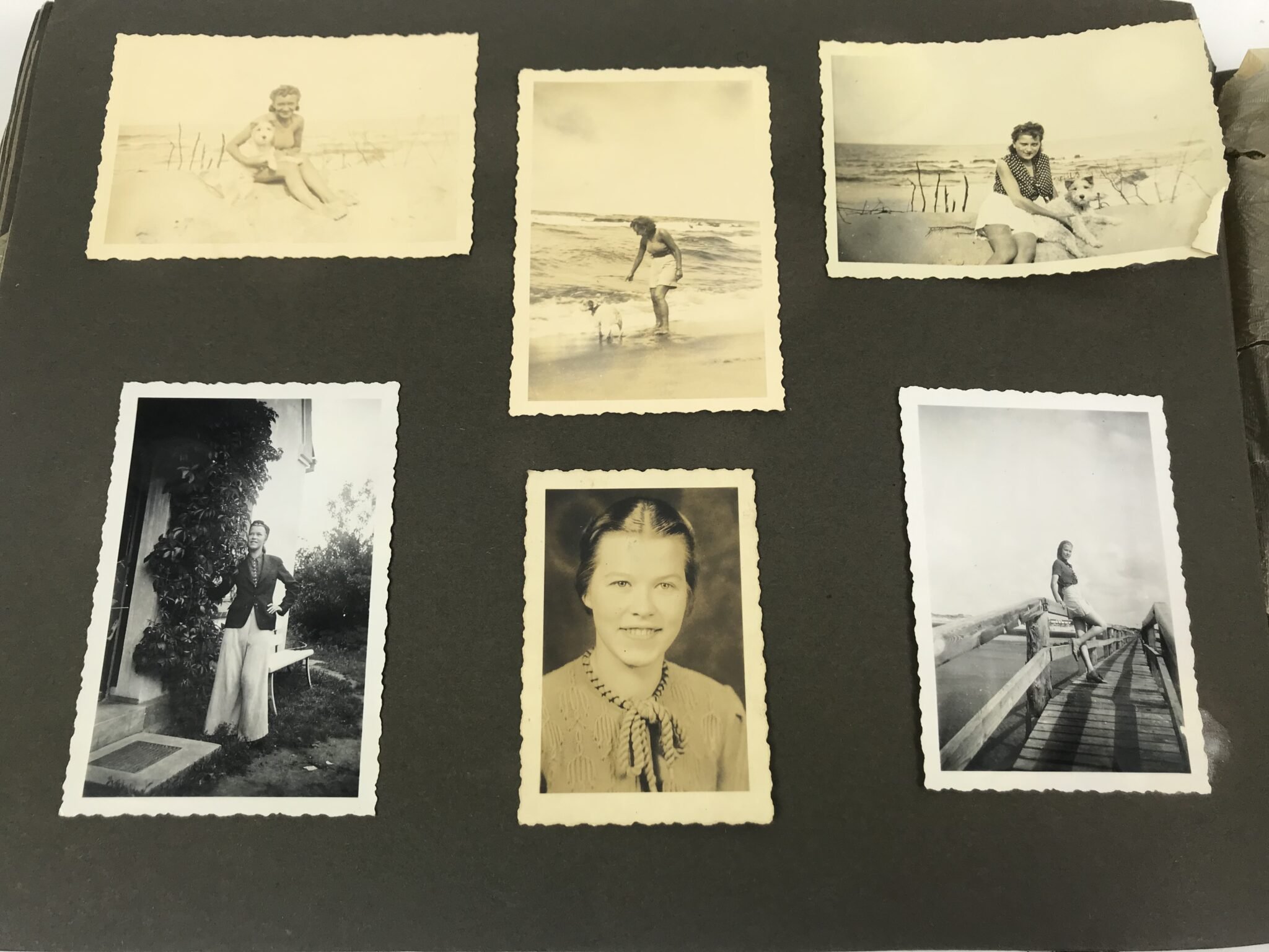 Photoalbum Reichsarbeitsdienst (RAD) with 226 photo's — image 41