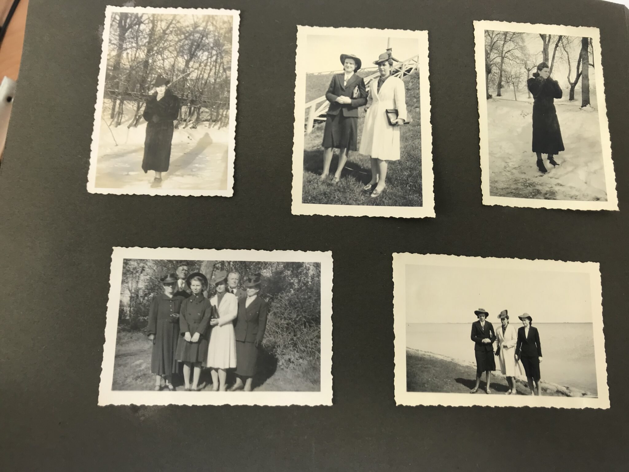 Photoalbum Reichsarbeitsdienst (RAD) with 226 photo's — image 47