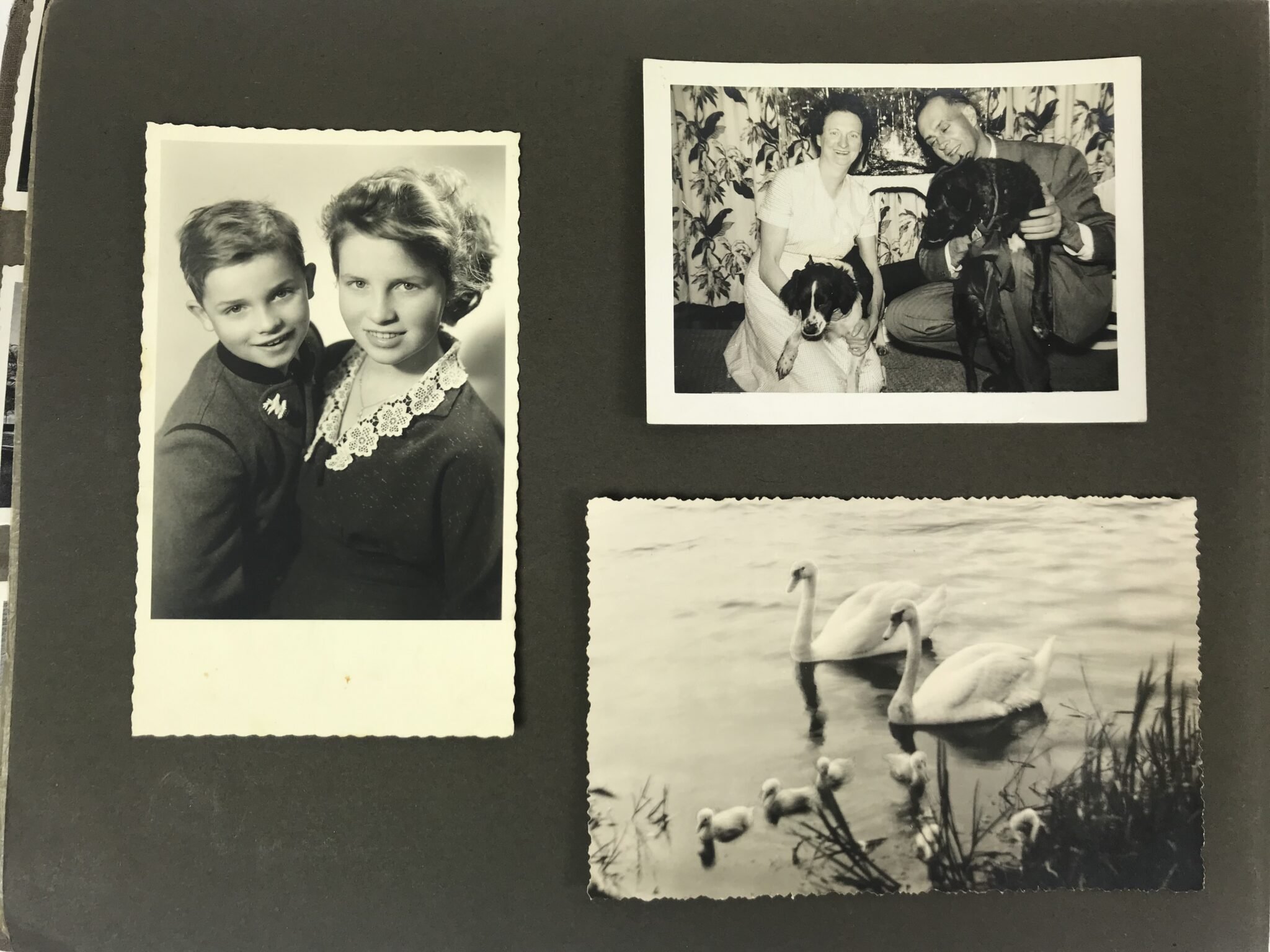 Photoalbum Reichsarbeitsdienst (RAD) with 226 photo's — image 6