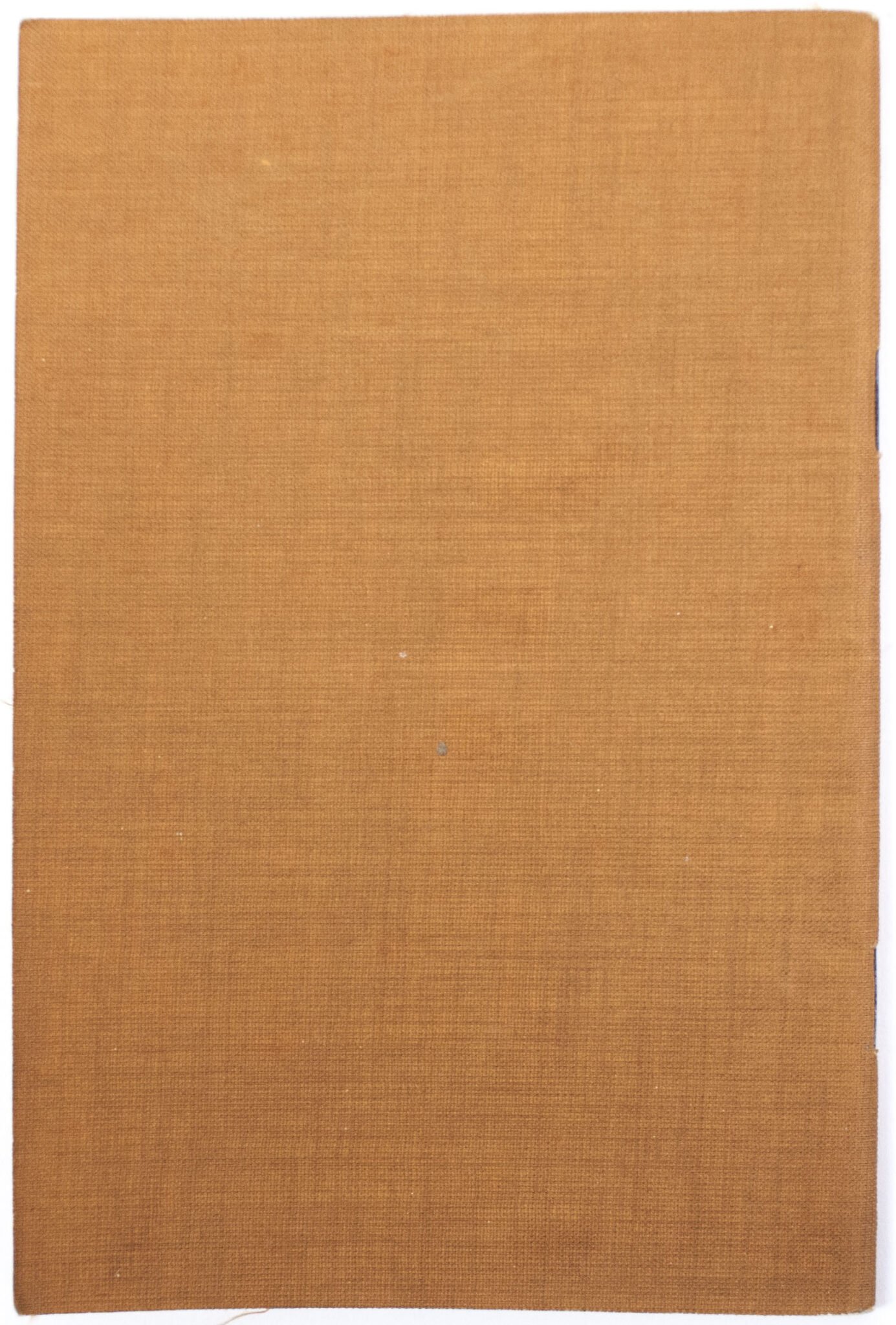 WWII German Ahnenpass (ancestry pass) — image 6