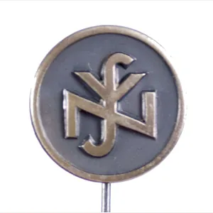 National Sozialistische Volkswohlfahrt (NSV) Mitgliedsabzeichen
