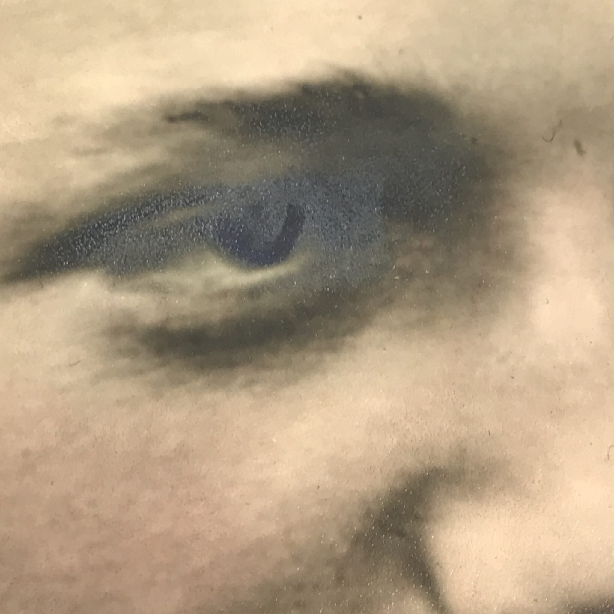 (Photo) Large SS color portrait (30 x 24 cm) — image 4