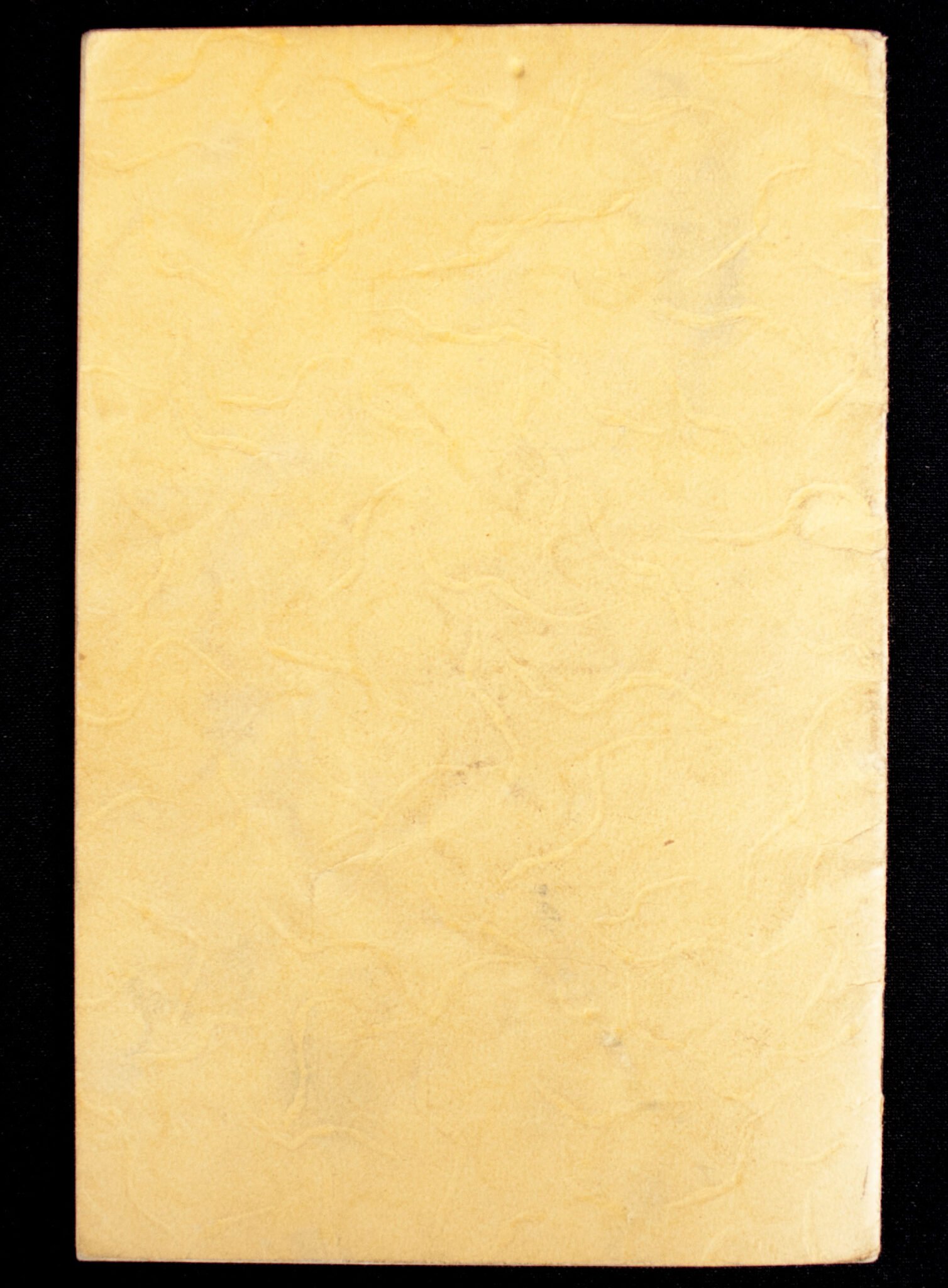 WWII German RJA Sports Proficiency badge Leistungsbuch with passphoto — image 5