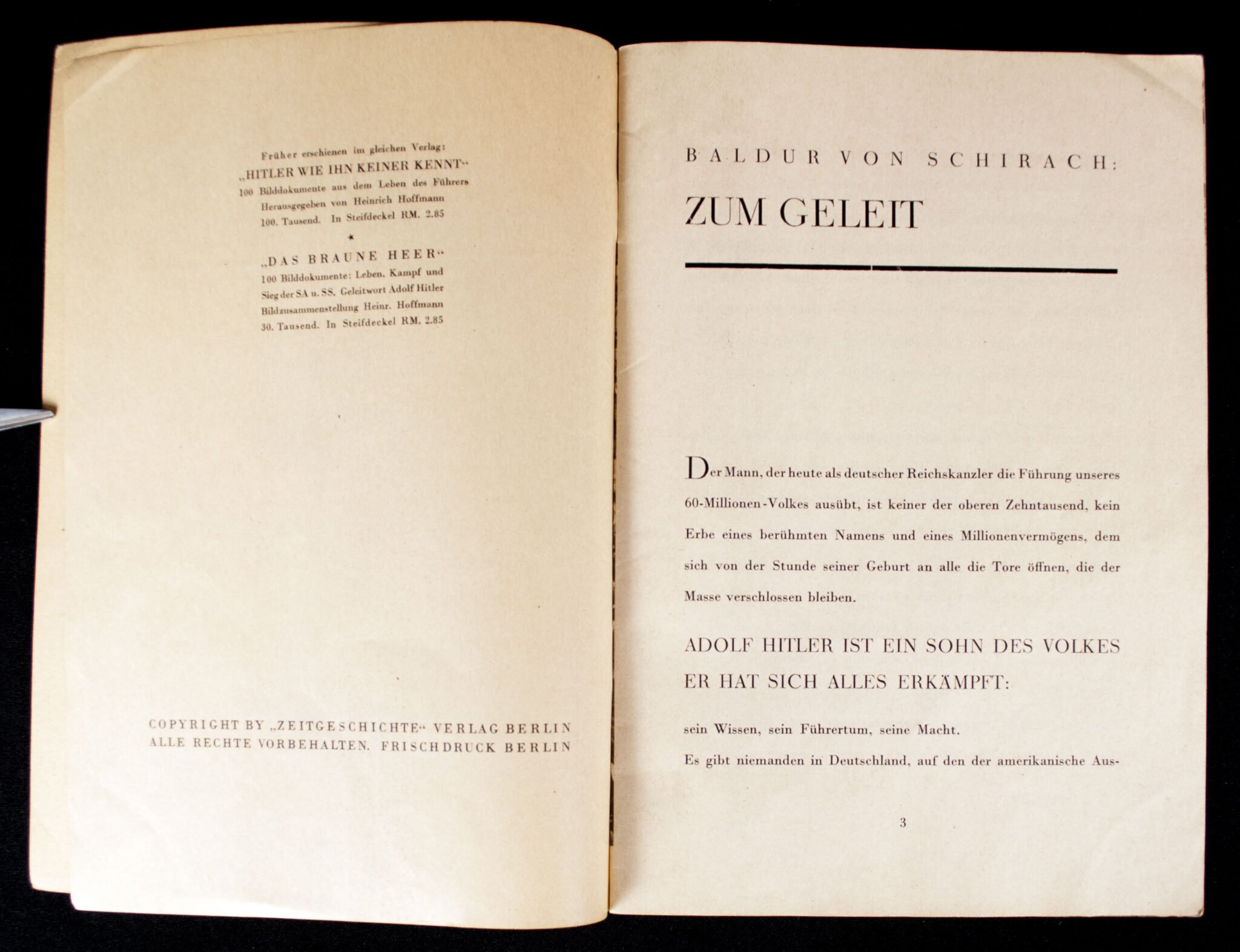(Brochure) Der Triumph des Willens Kampf und Aufstieg Adolf Hitlers und seiner Bewegung — image 3