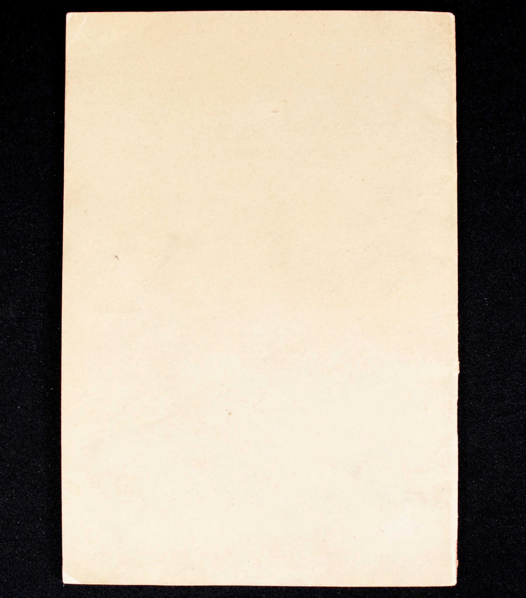 (Brochure) Der Triumph des Willens Kampf und Aufstieg Adolf Hitlers und seiner Bewegung — image 7