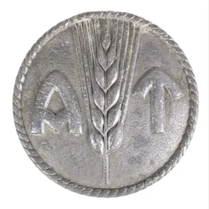 (Norway) Arbeidstjensten AT-brooch (large)