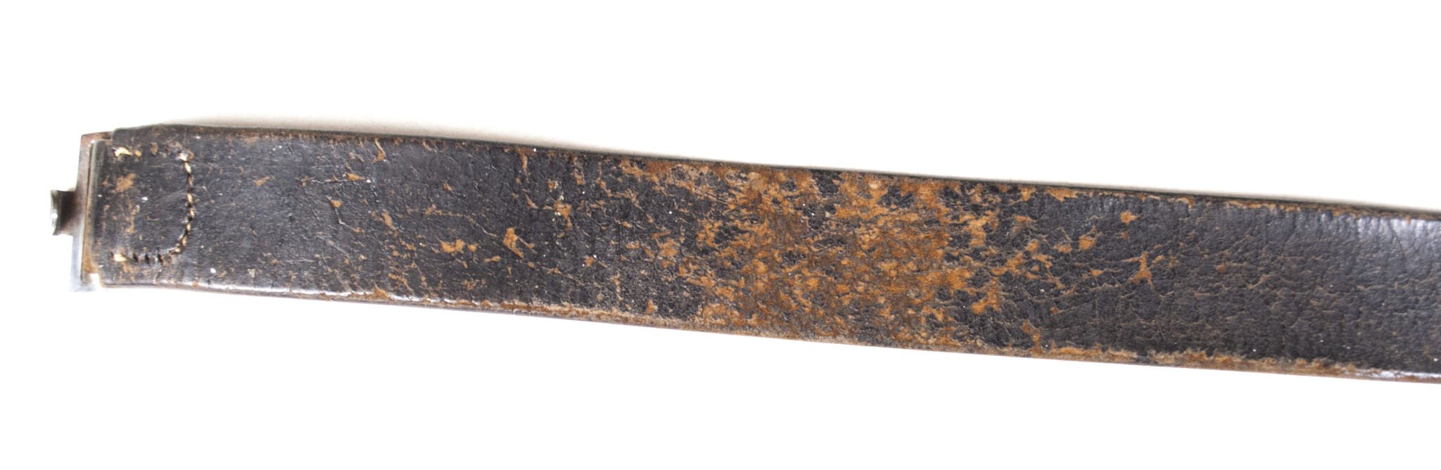 WWI Prussian buckle + belt — image 10