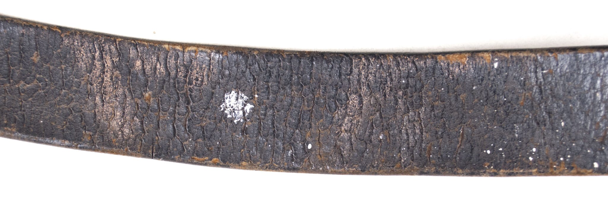 WWI Prussian buckle + belt — image 11