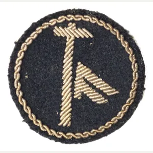 (Norway) specialist cloth badge with rune