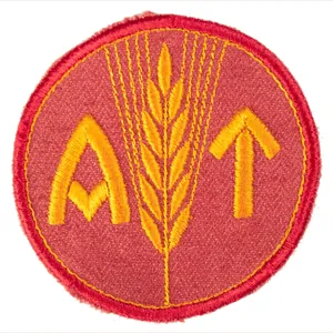 WWII Norwegian (AT) Arbeidstjensten female Labour Service armbadge