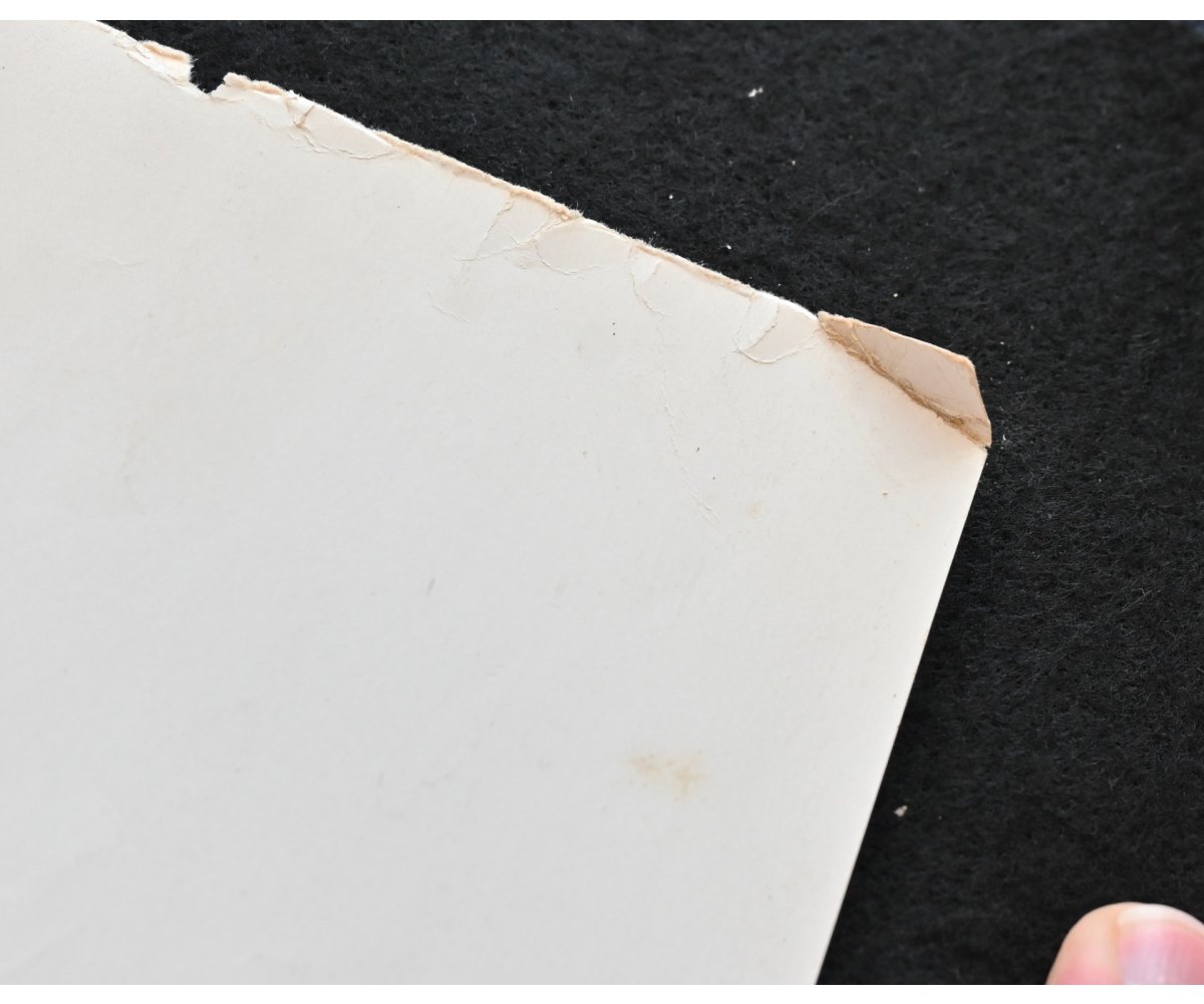 WW1 Death Notice ('Gedenkblatt') 1915 — image 9