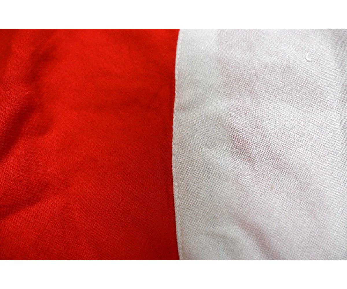 Large NSDAP Flag (115x240) — image 5