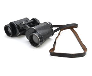 WH 6x30 Dienstglas (ddx) with strap