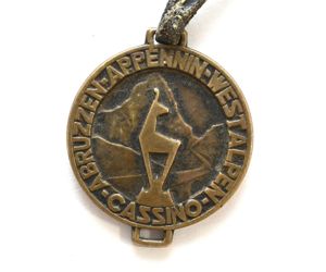 Rare 5.Gebirgs-Div. Erinnerungsabzeichen