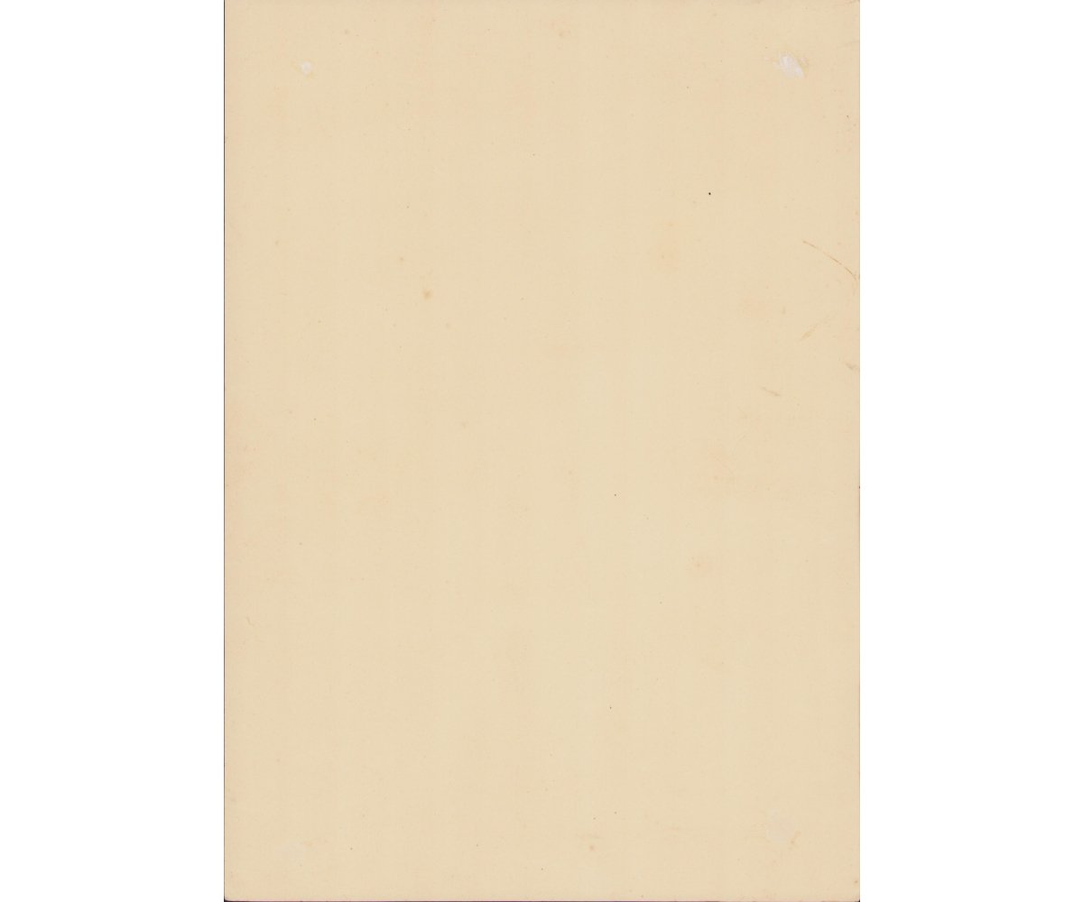 Freiwillige Arbeitsdienst Certificate — image 2