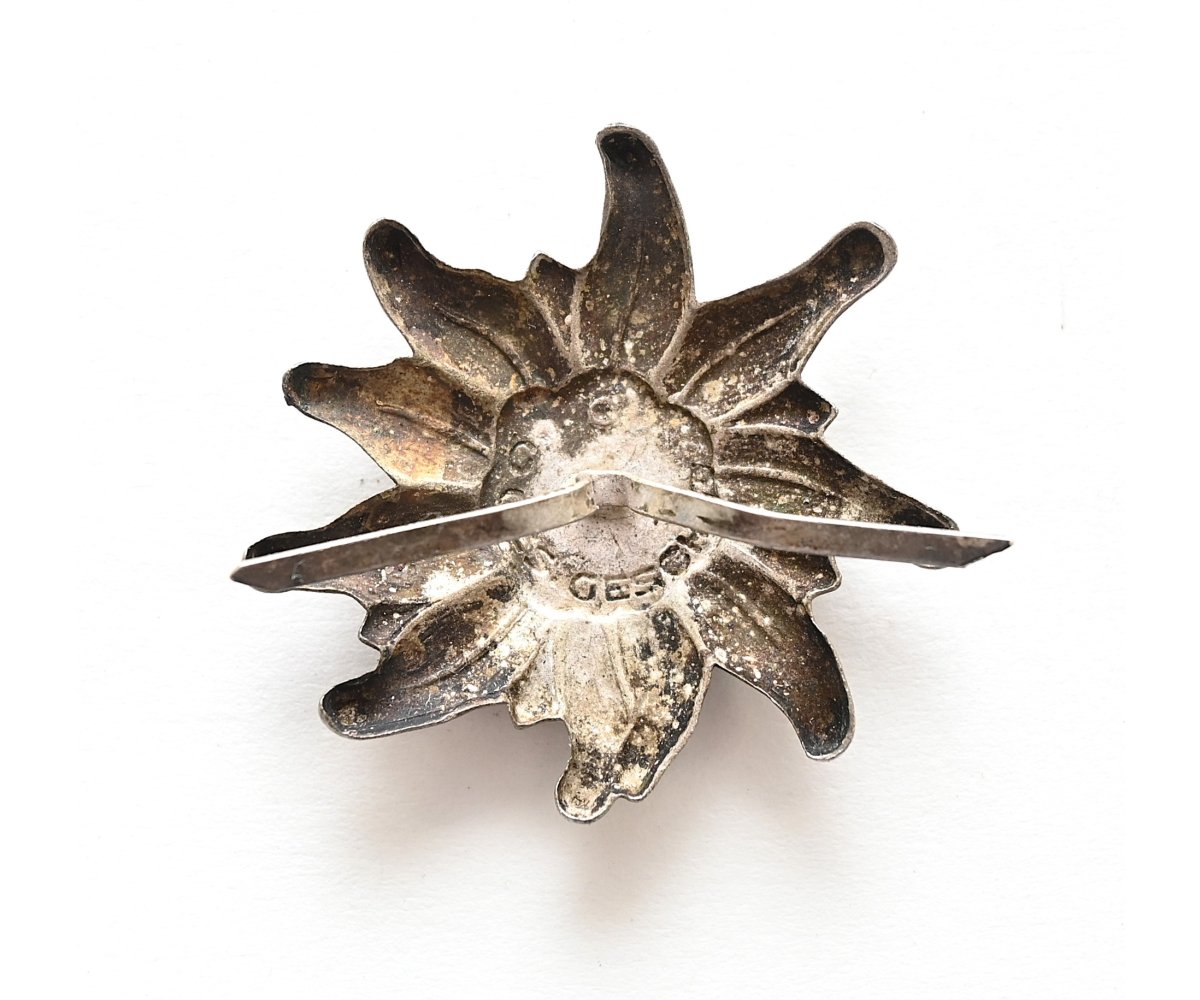 DRKB Gau Hochland Cap Badge — image 3