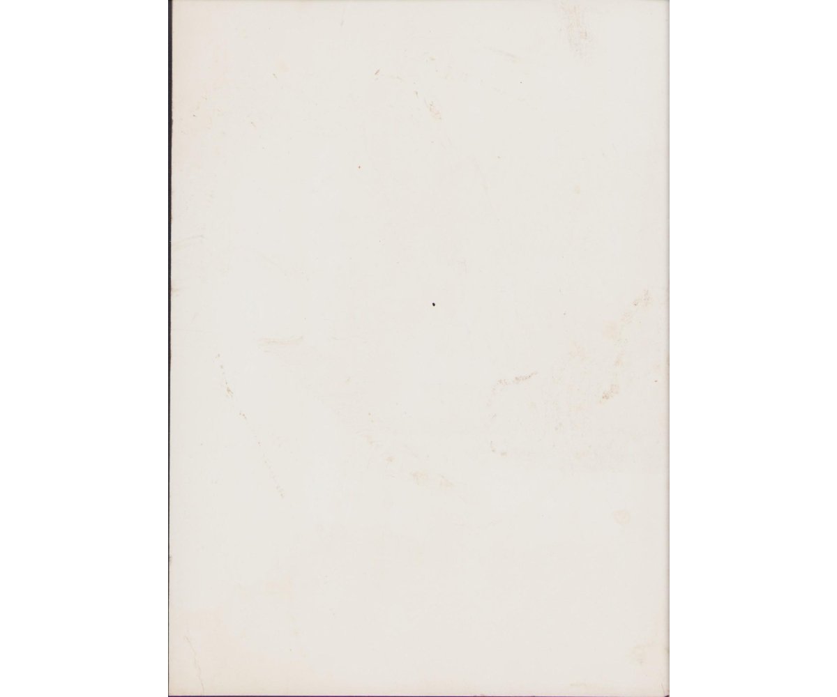 Waffen-ᛋᛋ Nachrichten Trupp Press Photo — image 2