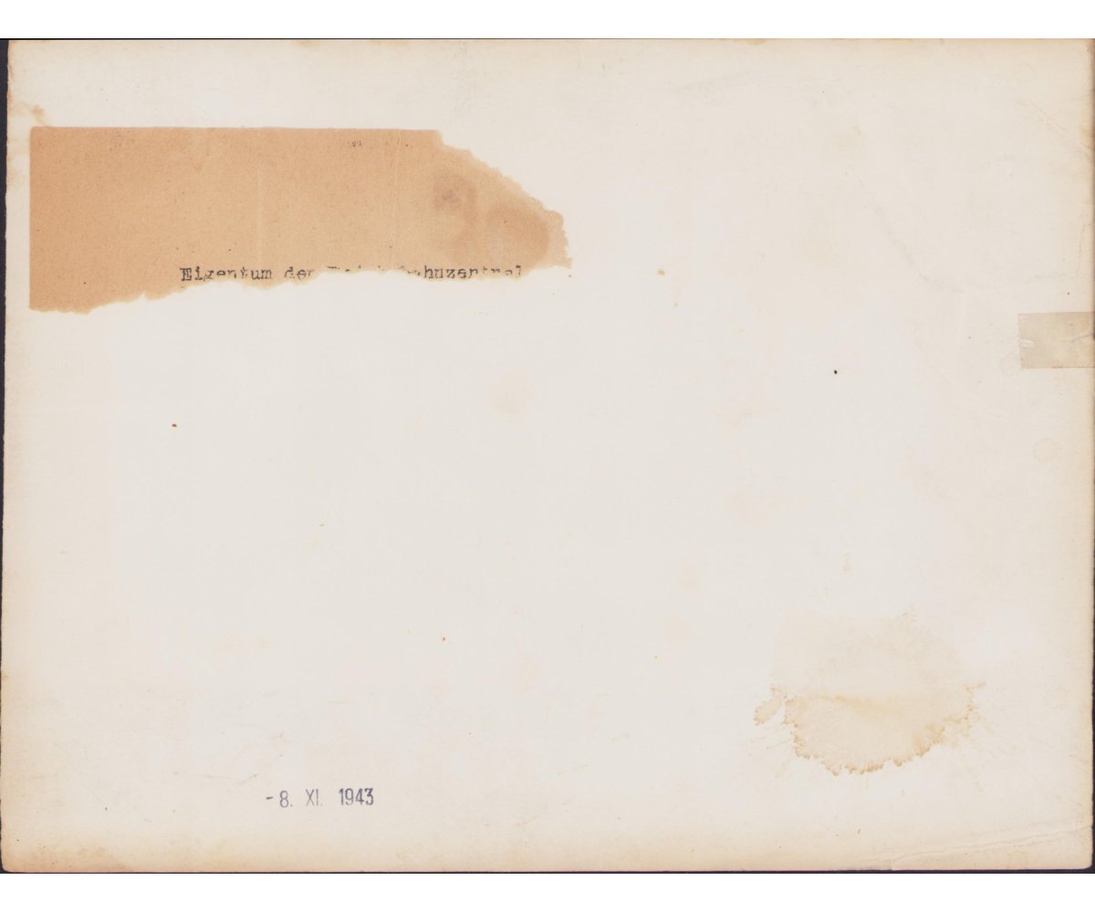 Large Luftwaffe Südfront Flak Press Photo — image 2