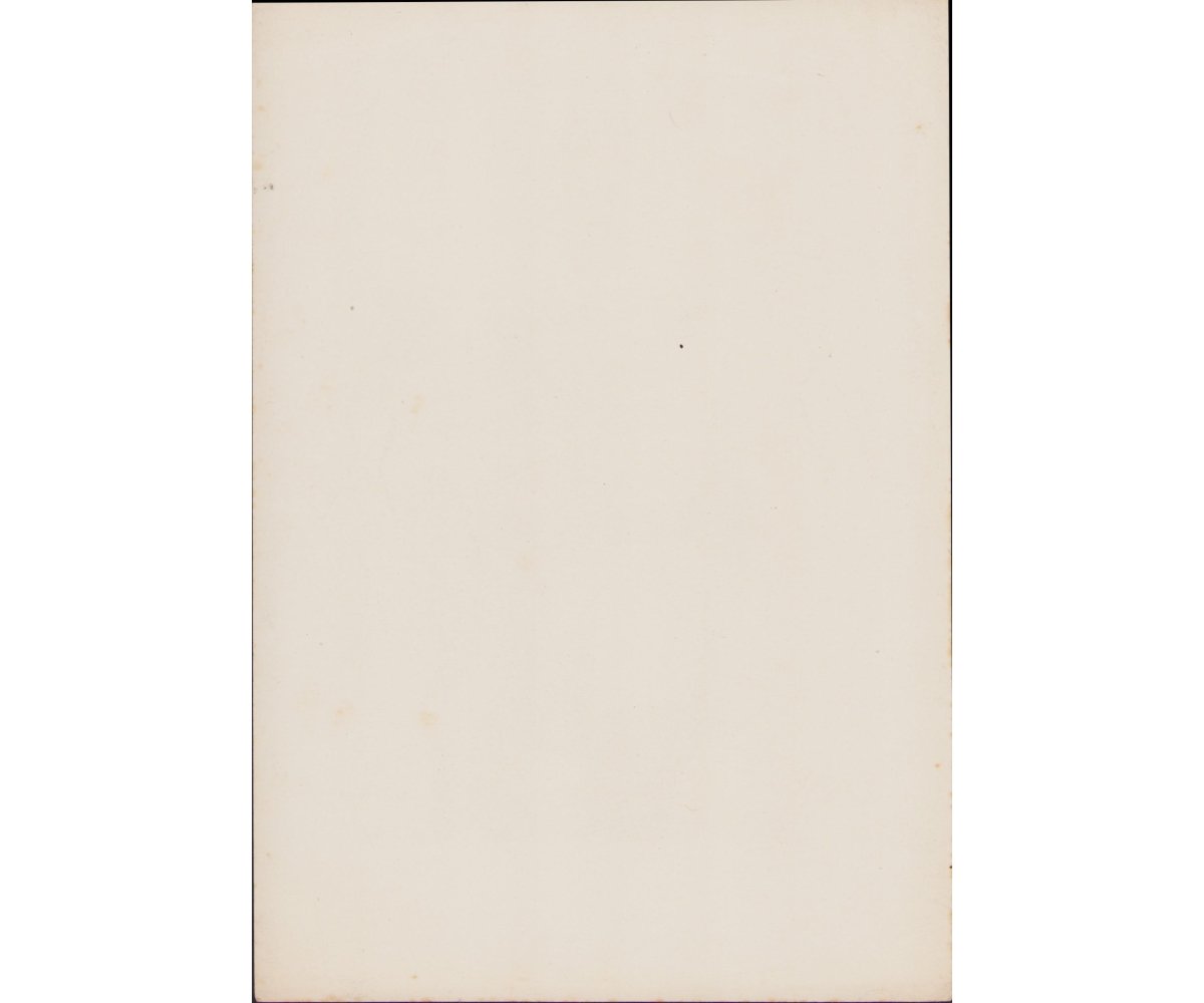 VDA 'Adolf Hitler' Image — image 2