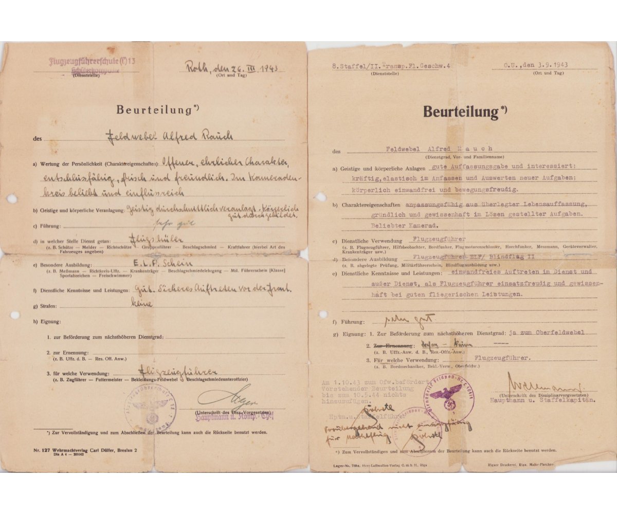 Luftwaffen Führerschein Grouping (Pilot) — image 10