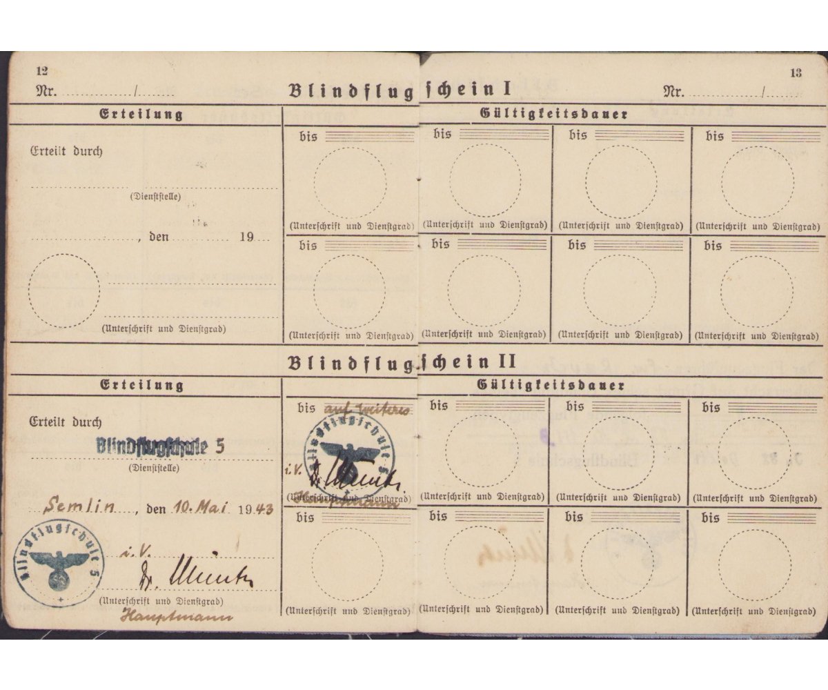 Luftwaffen Führerschein Grouping (Pilot) — image 6