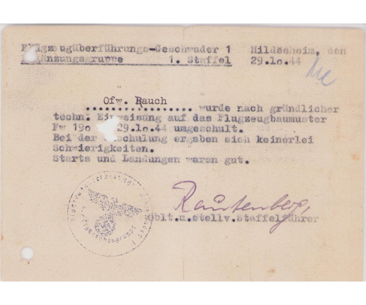 Luftwaffen Führerschein Grouping (Pilot) — image 9