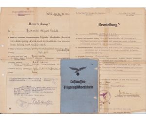 Luftwaffen Führerschein Grouping (Pilot)